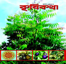 ইতিহাস ঐতিহ্যে আমার জন্মভূমি কোড়কদী